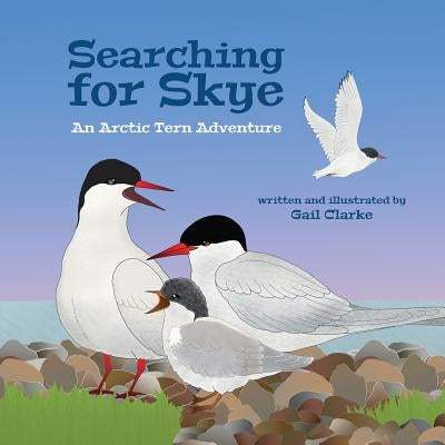 Searching for Skye: An Arctic Tern Adventure by Clarke, Gail