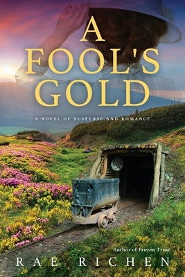 A Fool's Gold: A Novel of Suspense and Romance by Richen, Rae