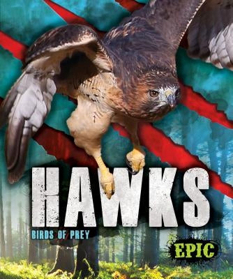 Hawks: Birds of Prey by Sommer, Nathan