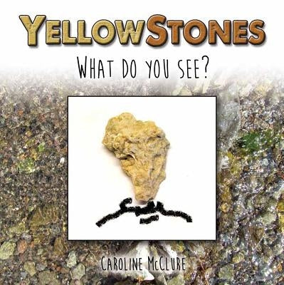 Yellow Stones by McClure, Caroline