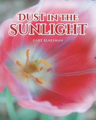 Dust in the Sunlight by Blakeman, Gary