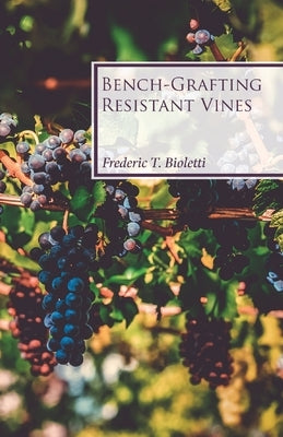 Bench-Grafting Resistant Vines by Bioletti, Frederic T.