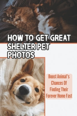 How To Get Great Shelter Pet Photos: Boost Animal's Chances Of Finding Their Forever Home Fast: Shelter Pet Photography by Moznett, Shayne