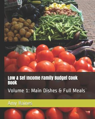 Low & Set Income Family Budget Cook Book: Main Dish and Full Meals Volume 1 by Raines, Amy